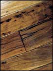 Terrano Zanella Wood Floors prefinished floor, wood floor.